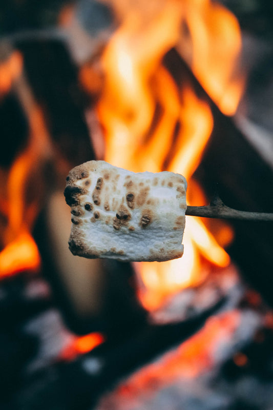 campfire toasting marshmallows fast light