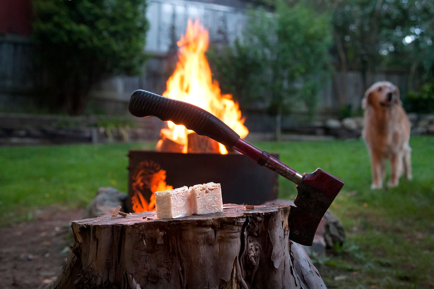 campfire dog hatchet stump fire