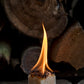 Single Burning Fire Starter in Front of Firewood. Guaranteed to burn for 20 minutes