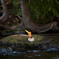 single burning cube on rock near a stream